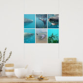 Unterhalb des Meeres leben Tiere Australien Poster (Küche)