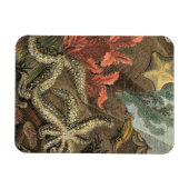 Unterhalb des Meeres Magnet (Horizontal)