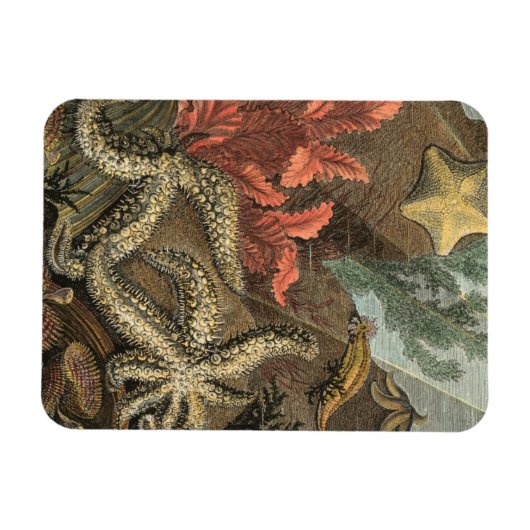 Unterhalb des Meeres Magnet (Horizontal)