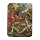 Unterhalb des Meeres Magnet (Vertikal)