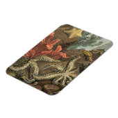 Unterhalb des Meeres Magnet (Linke Seite)