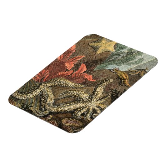 Unterhalb des Meeres Magnet (Linke Seite)