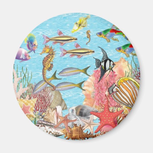 Unterhalb des Meeres Magnet (Vorne)