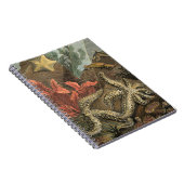 Unterhalb des Meeres Notizblock (Rechte Seite)