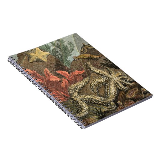 Unterhalb des Meeres Notizblock (Rechte Seite)