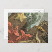 Unterhalb des Meeres Postkarte (Vorne/Hinten)