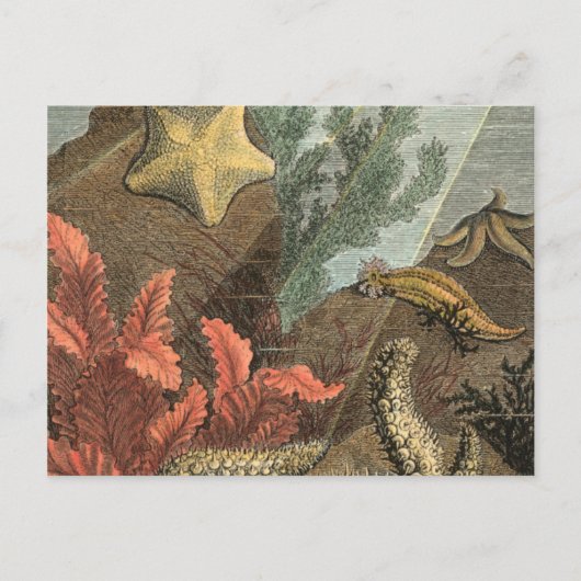 Unterhalb des Meeres Postkarte (Vorderseite)