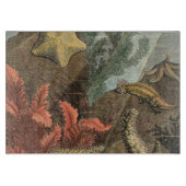 Unterhalb des Meeres Schneidebrett (Vorderseite)