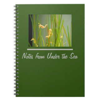 Unterhalb des Seepferds Notizblock