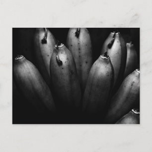 unterhaltsame Gruppe Postkarte