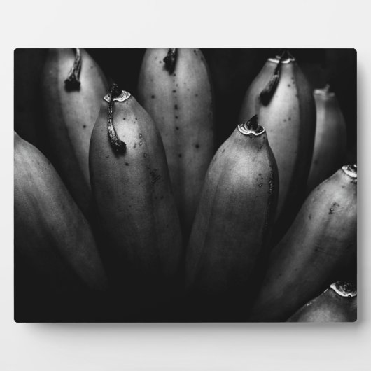 unterhaltsamer Haufen Fotoplatte (Vorderseite)