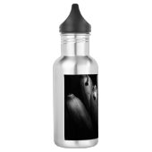 unterhaltsamer Haufen Trinkflasche (Links)