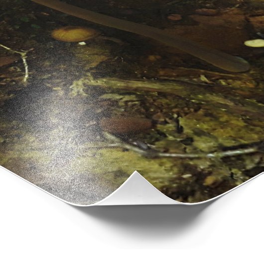 Unterkunft Fotodruck (Ecke)