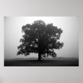 Unterkunft Poster (Vorne)