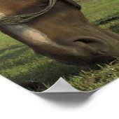 Unterlassen Sie den Versuch, die Erwartungen ander Poster (Ecke)