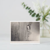 Unternehmen auf der Pine Street Postcard Postkarte (Stehend Vorderseite)