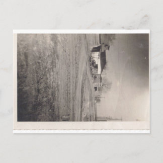 Unternehmen auf der Pine Street Postcard Postkarte