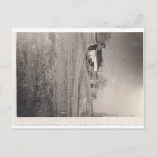 Unternehmen auf der Pine Street Postcard Postkarte (Vorderseite)