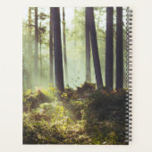 Unterpinsel im Wald Planer (Rückseite)