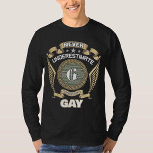 UNTERSCHÄTZE NIE DIE MACHT EINES SCHWULEN T-Shirt