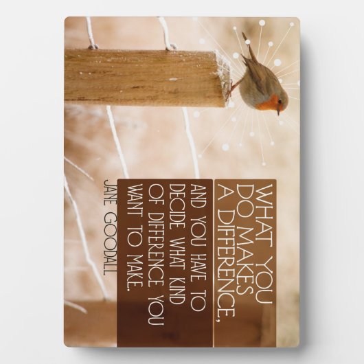 Unterschiede, die Gewollt werden Fotoplatte (Vorderseite)