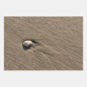 Unterschiedliche Foto der Muschel Geschenkpapier Set (Vorderseite 3)