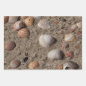 Unterschiedliche Foto der Muschel Geschenkpapier Set (Vorderseite 2)