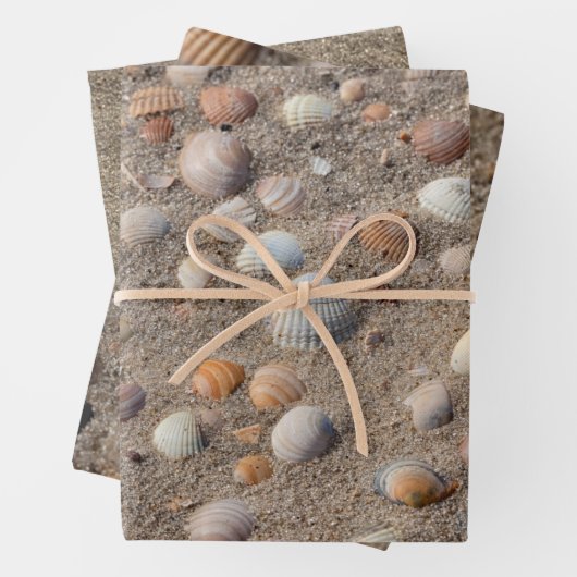 Unterschiedliche Foto der Muschel Geschenkpapier Set (Beispiel)