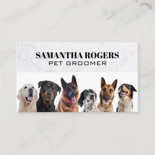 Unterschiedliche Hunde sitzen Terminkarte (Vorderseite)