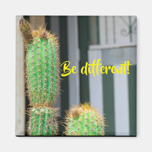 Unterschiedliches Cactus Inspiration Magnet sein