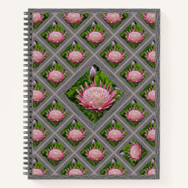 Unterschiedliches Notebook mit hübsch rosa Proteas Notizblock