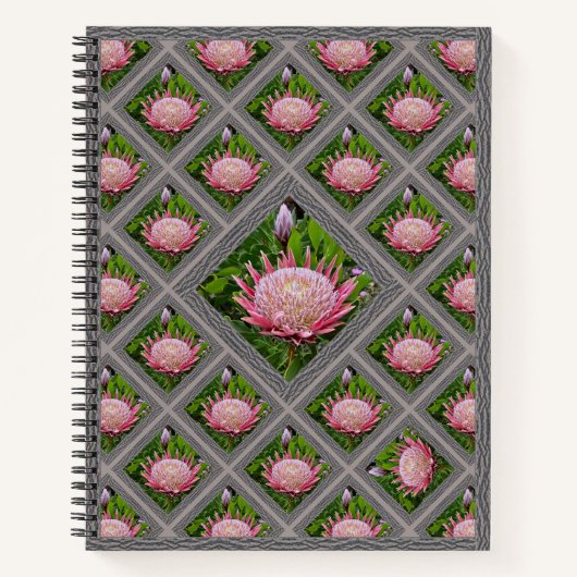 Unterschiedliches Notebook mit hübsch rosa Proteas Notizblock (Vorderseite)