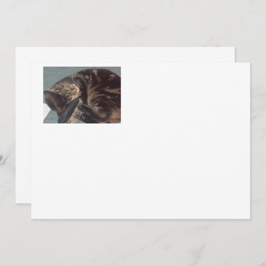 Unterschrift "Playful Dave": Matte Einladungen (Vorne/Hinten)