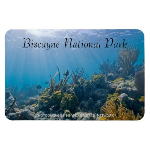 Untersee, Biscayne-Nationalpark Magnet