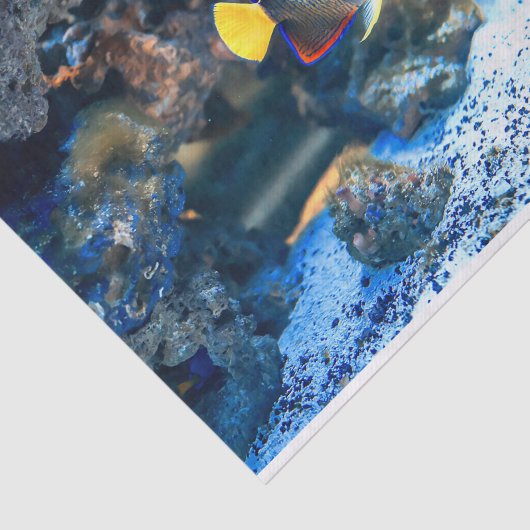 Unterseeische vibrierende tropische Fisch-Koralle Seidenpapier (Ausschnitt)