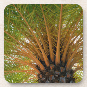 Unterseite einer Palme Getränkeuntersetzer