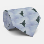 Unterseite von Vulcan Bomber, mit Bombentüren Krawatte (Gerollt)