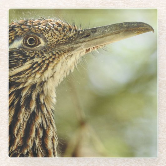 Untersetzer (Vorderseite)