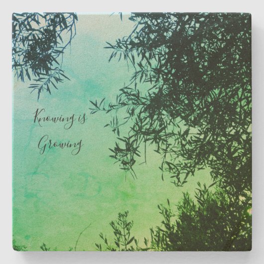 Untersetzer (Vorderseite)