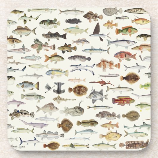 Untersetzer (Vorderseite)