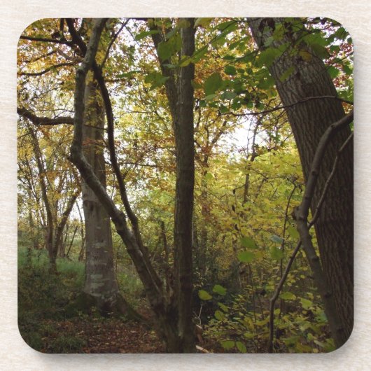 Untersetzer (Vorderseite)