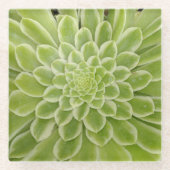 Untersetzer (Vorderseite)