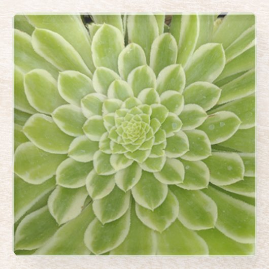 Untersetzer (Vorderseite)