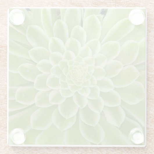 Untersetzer (Rückseite)