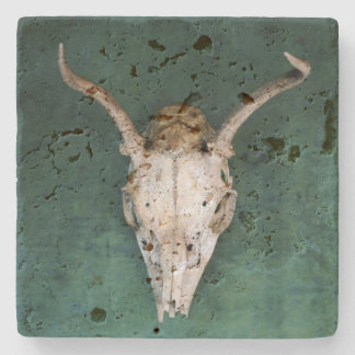 Untersetzer "Animal Skull Stone"