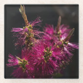 Untersetzer aus Bottlebrush, Bottlebrush, Unterset (Vorderseite)