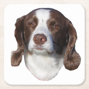 Untersetzer aus braunem und weißem Hundeband