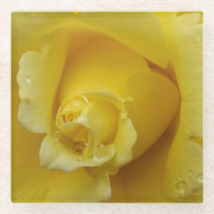 Untersetzer aus Gelborange