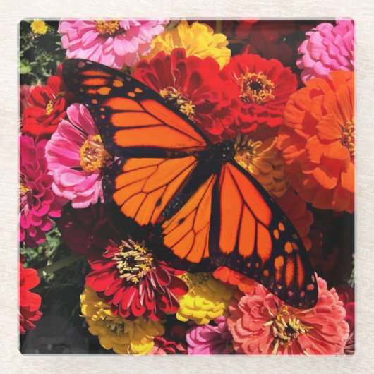 Untersetzer aus Glas, Monarch Butterfly Zinnias (Vorderseite)