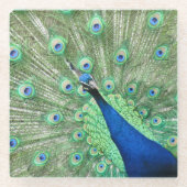 Untersetzer aus Glas - Pfau (Vorderseite)